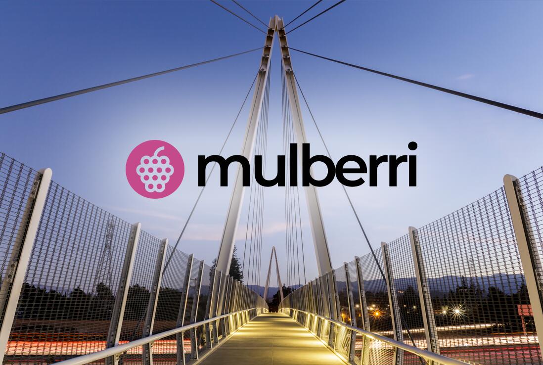 Mulberri_logo