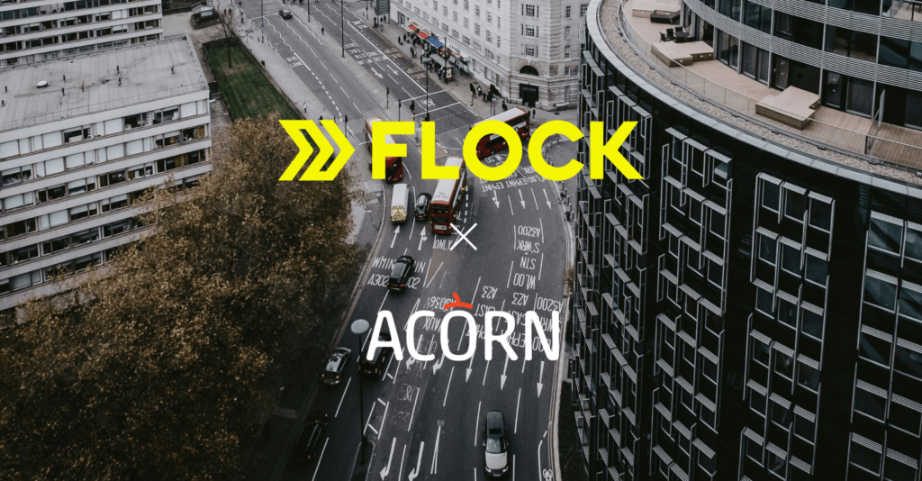 flock_acorn